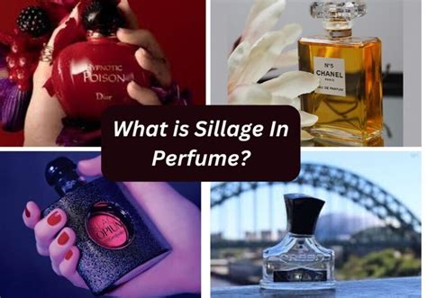 perfume silage meaning.